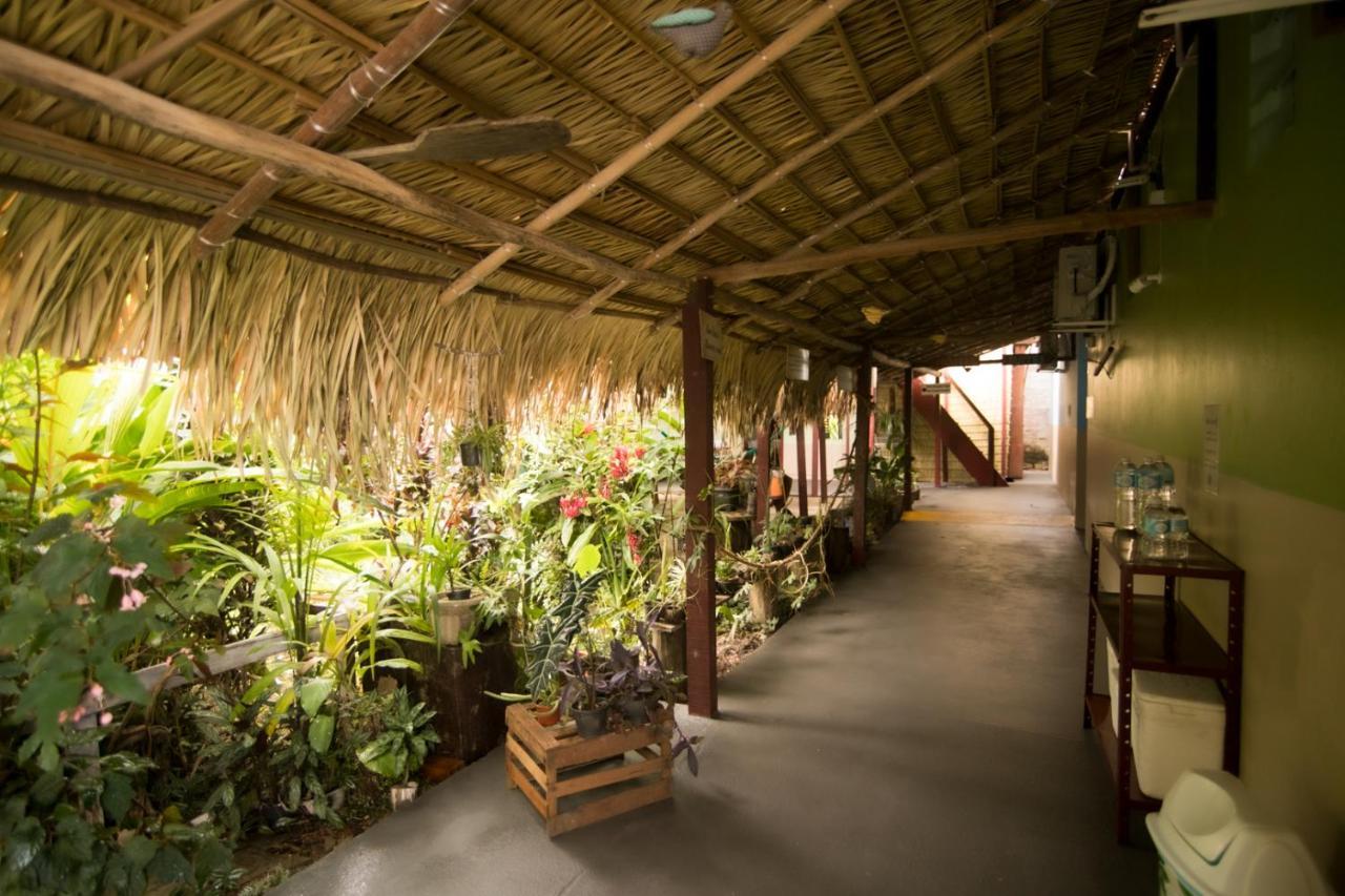 Hostel Coracao Verde Alter do Chao Exterior photo